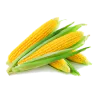 Maíz